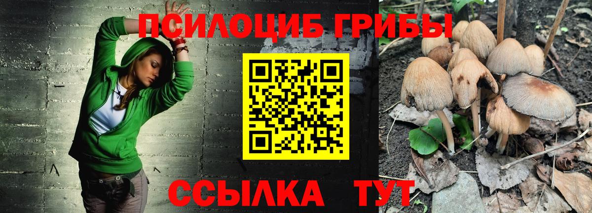 Избербаш  Псилоцибиновые грибы Cubensis  Вход с VPN 